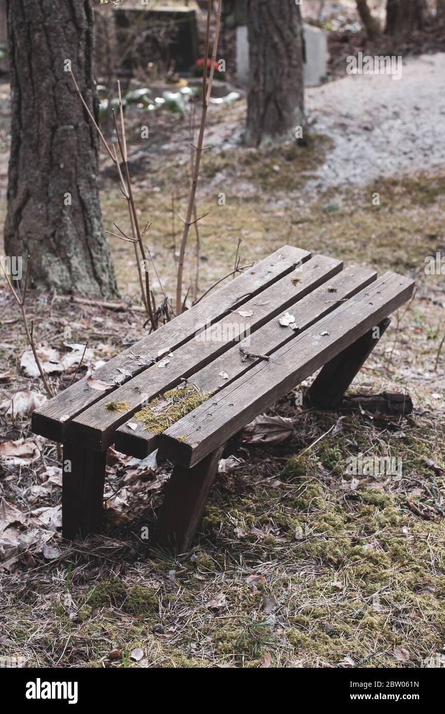 Broken rickety bench in the cemetery. Around the leaves and moss. Thick  tree trunks. Vertical Stock Photo - Alamy