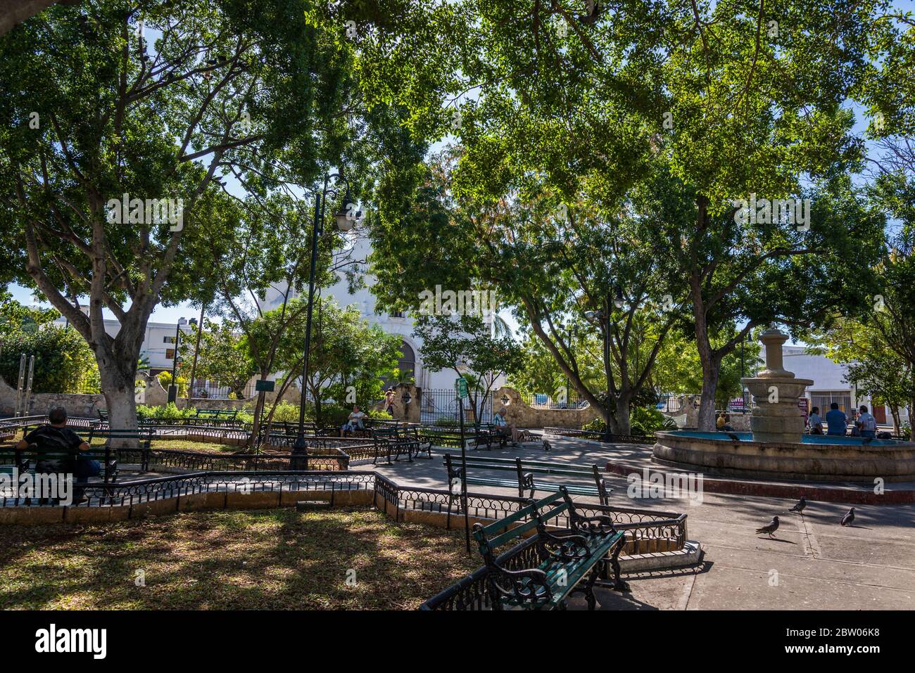 Shaded Santiago park, Merida, Yucatan, Mexico Stock Photo