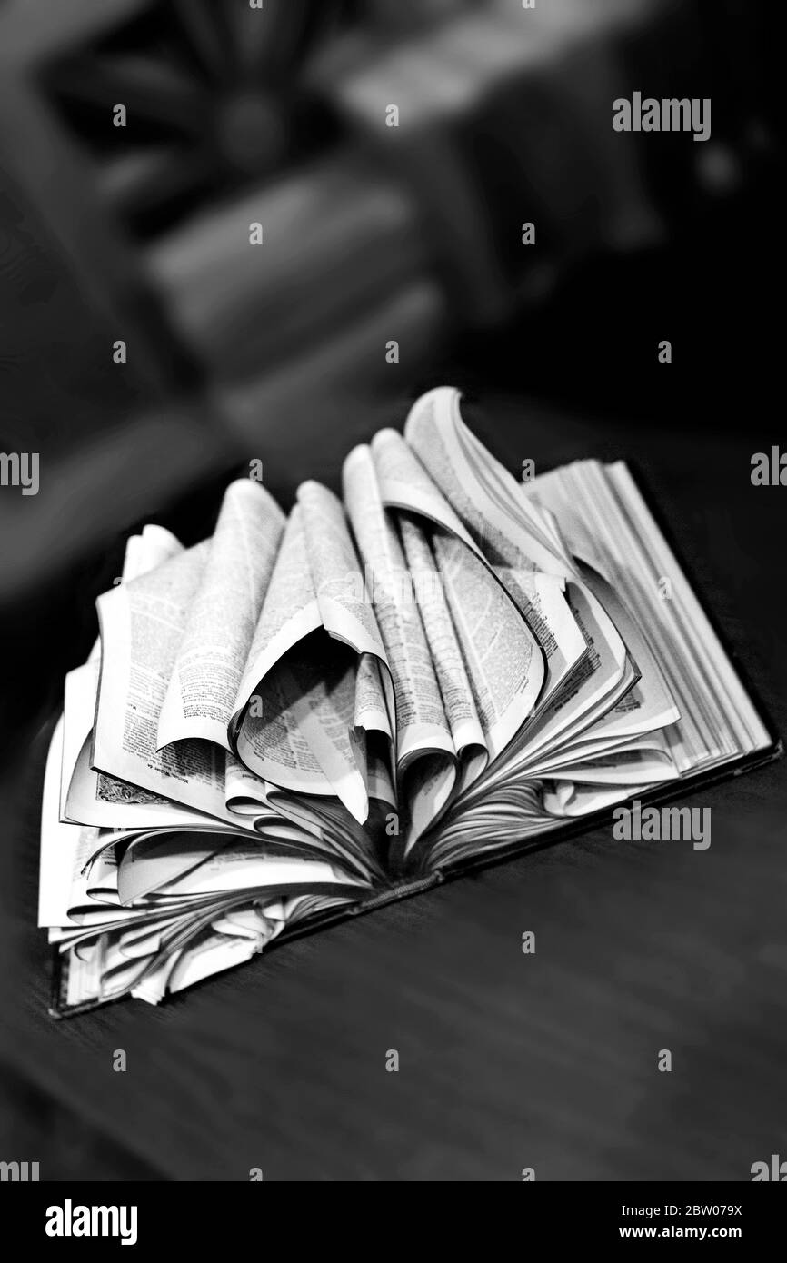 Book store Black and White Stock Photos & Images - Alamy