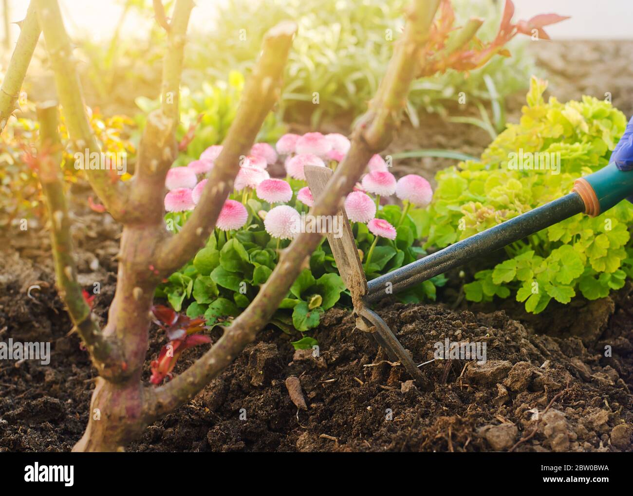 Loosen soil hires stock photography and images Alamy