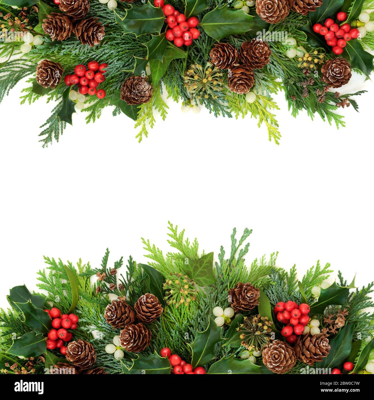 Pine Cone Wall Border