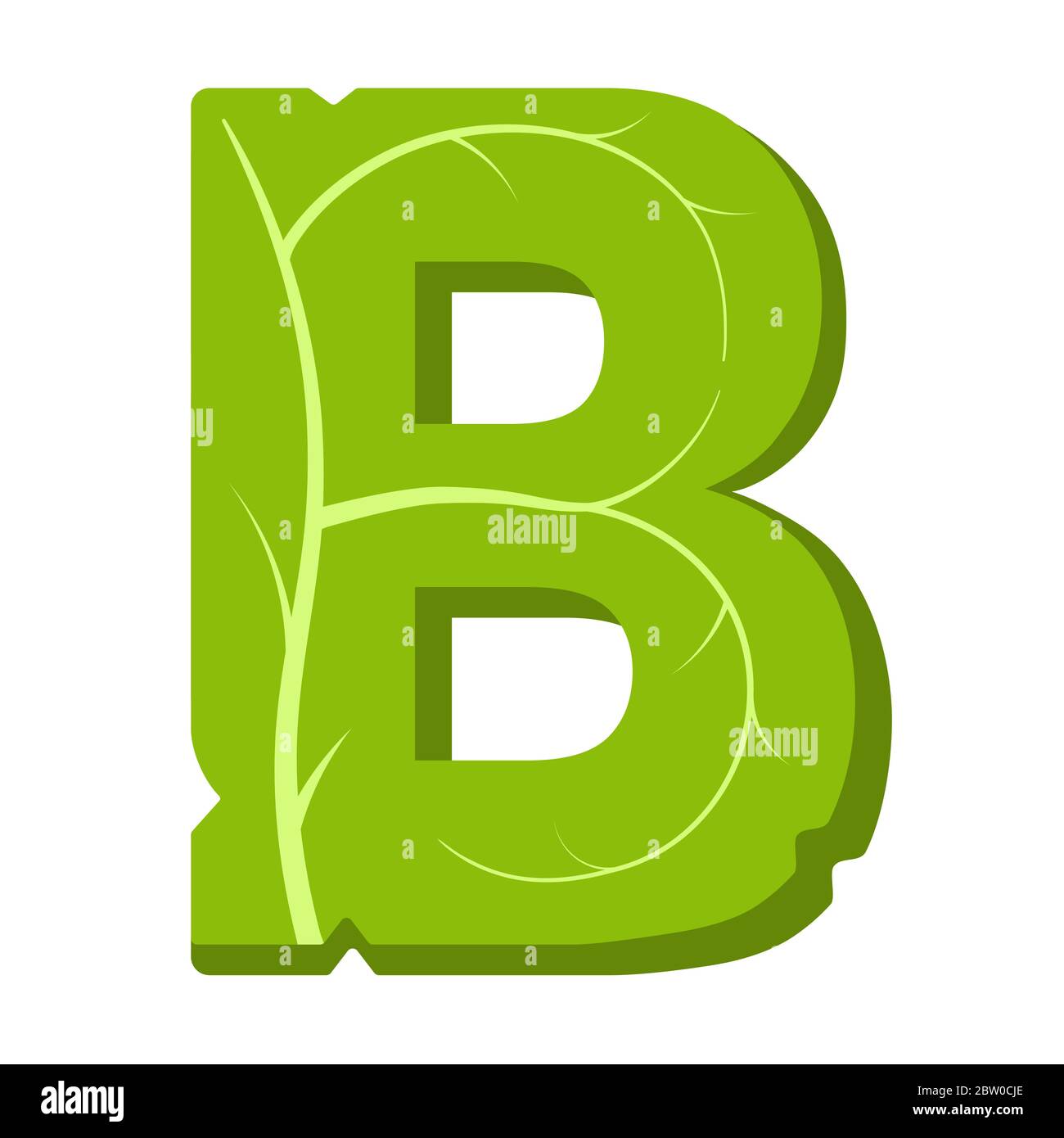 https://c8.alamy.com/comp/2BW0CJE/letter-b-green-leaves-summer-vector-alphabet-the-simple-logo-of-letter-b-green-color-isolated-illustration-on-white-background-2BW0CJE.jpg