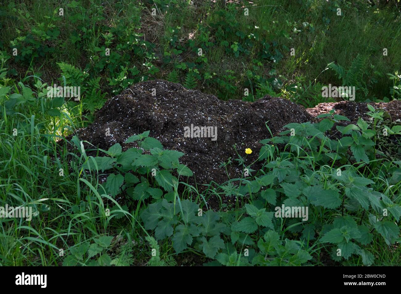 Heap of soil with Perlite grains, added to improve air-holding capabilities and increase drainage ability, dumped after illegal cannabis cultivation Stock Photo