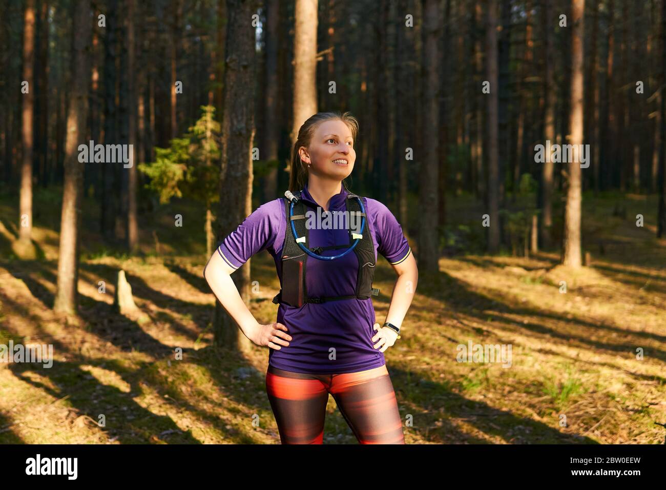 young woman trail runner resting between jogging in the evening pine ...