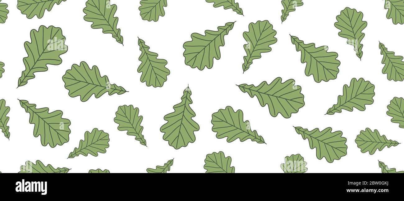 Oak green leaves background Stock Vector Image & Art - Alamy