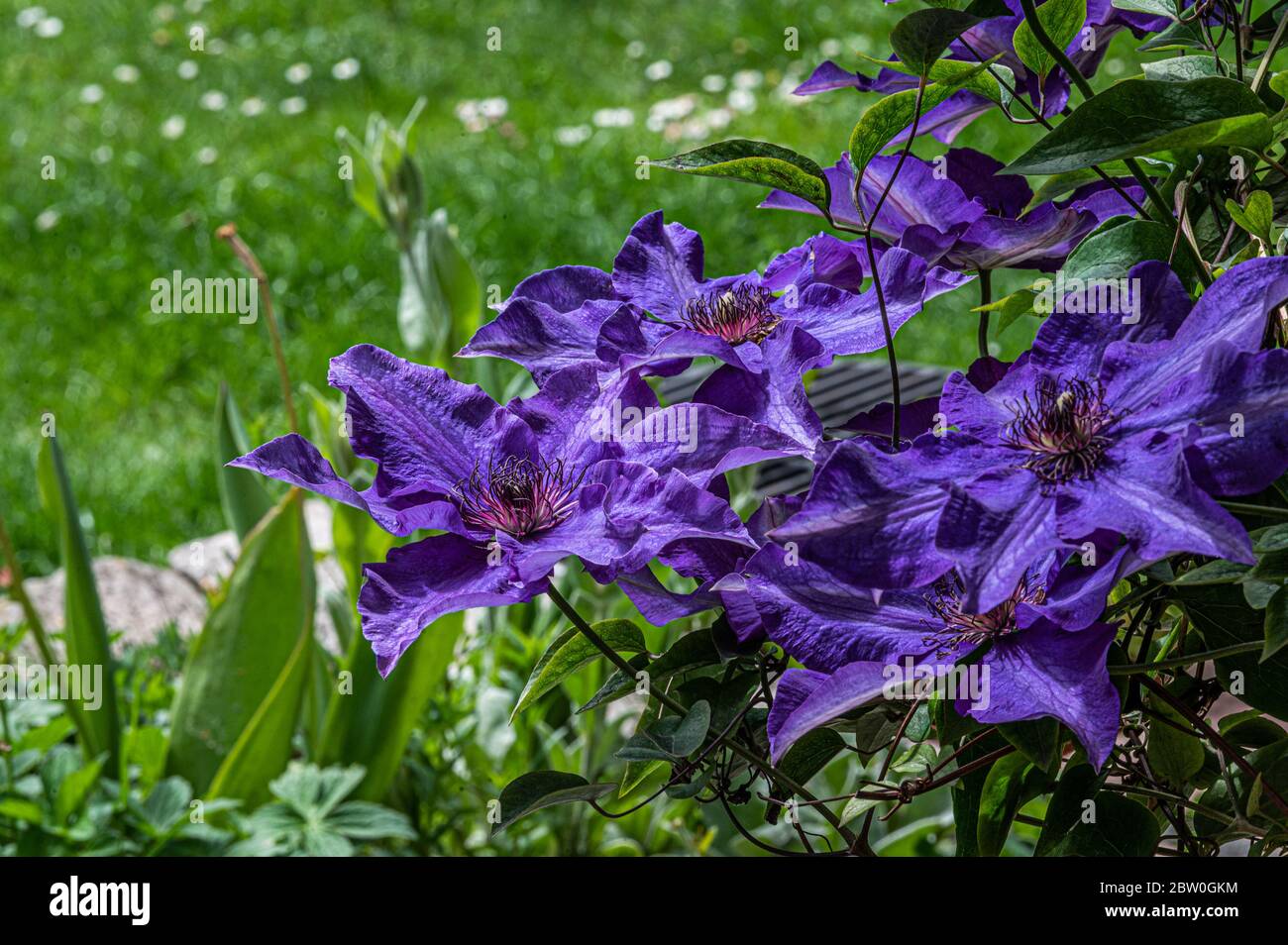 Hamburg, Germany Stock Photo