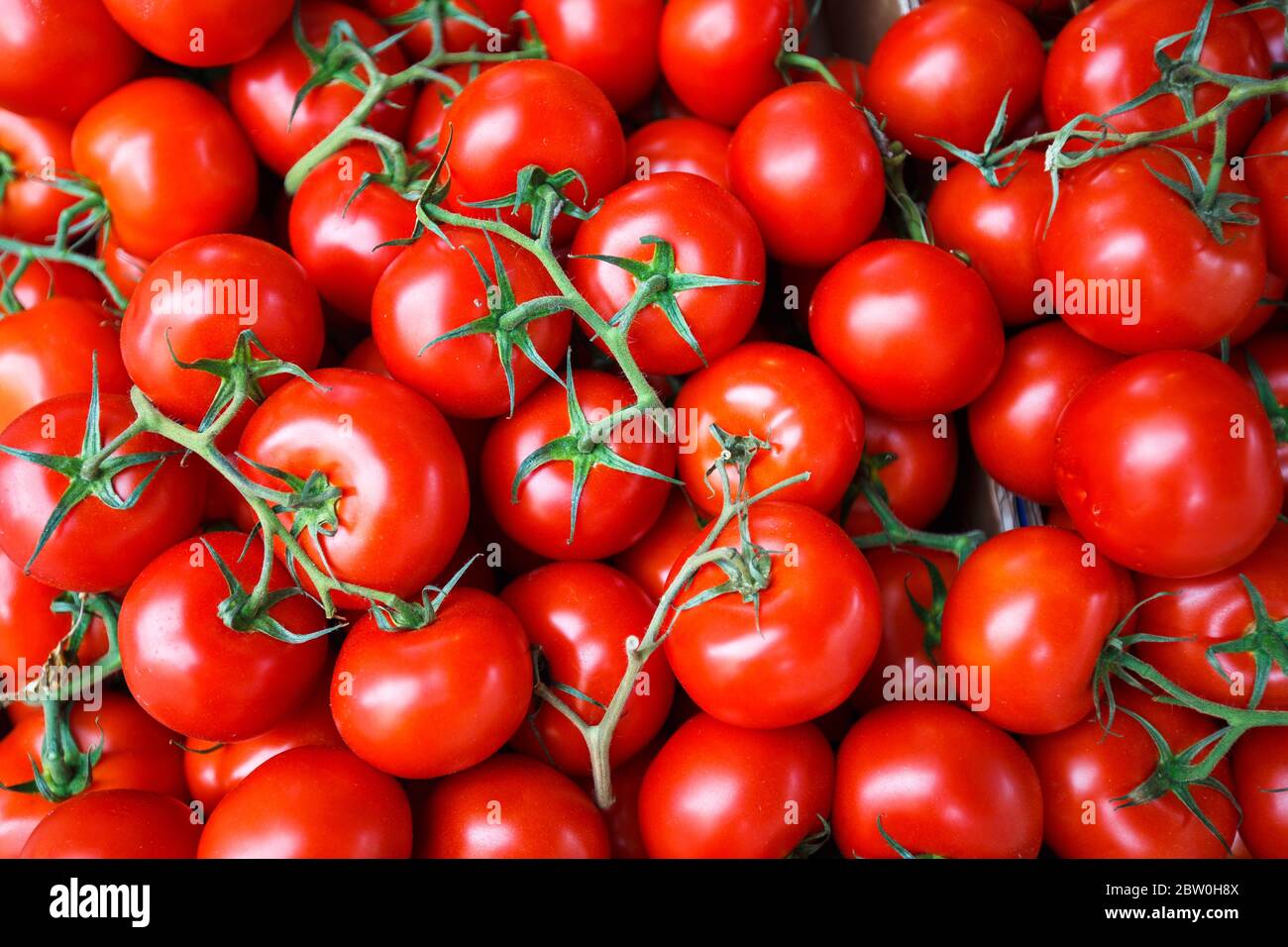 red tomatoes background Group of tomatoes Stock Photo - Alamy