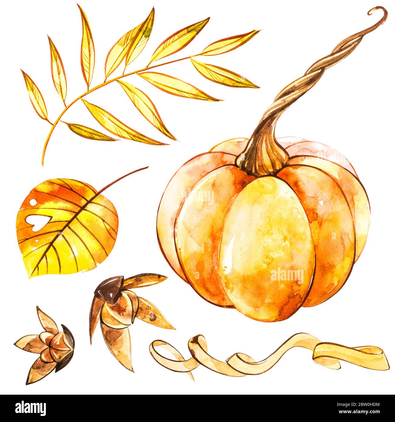 Pumpkins set. Hand drawn watercolor painting on white background ...