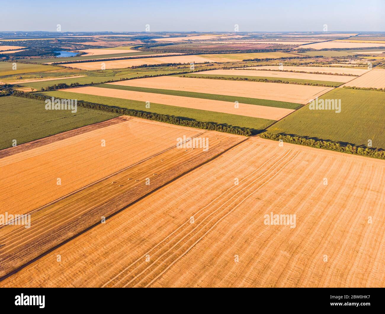 Aerial landscape of summer farm wheat field harvest crops Stock Photo ...
