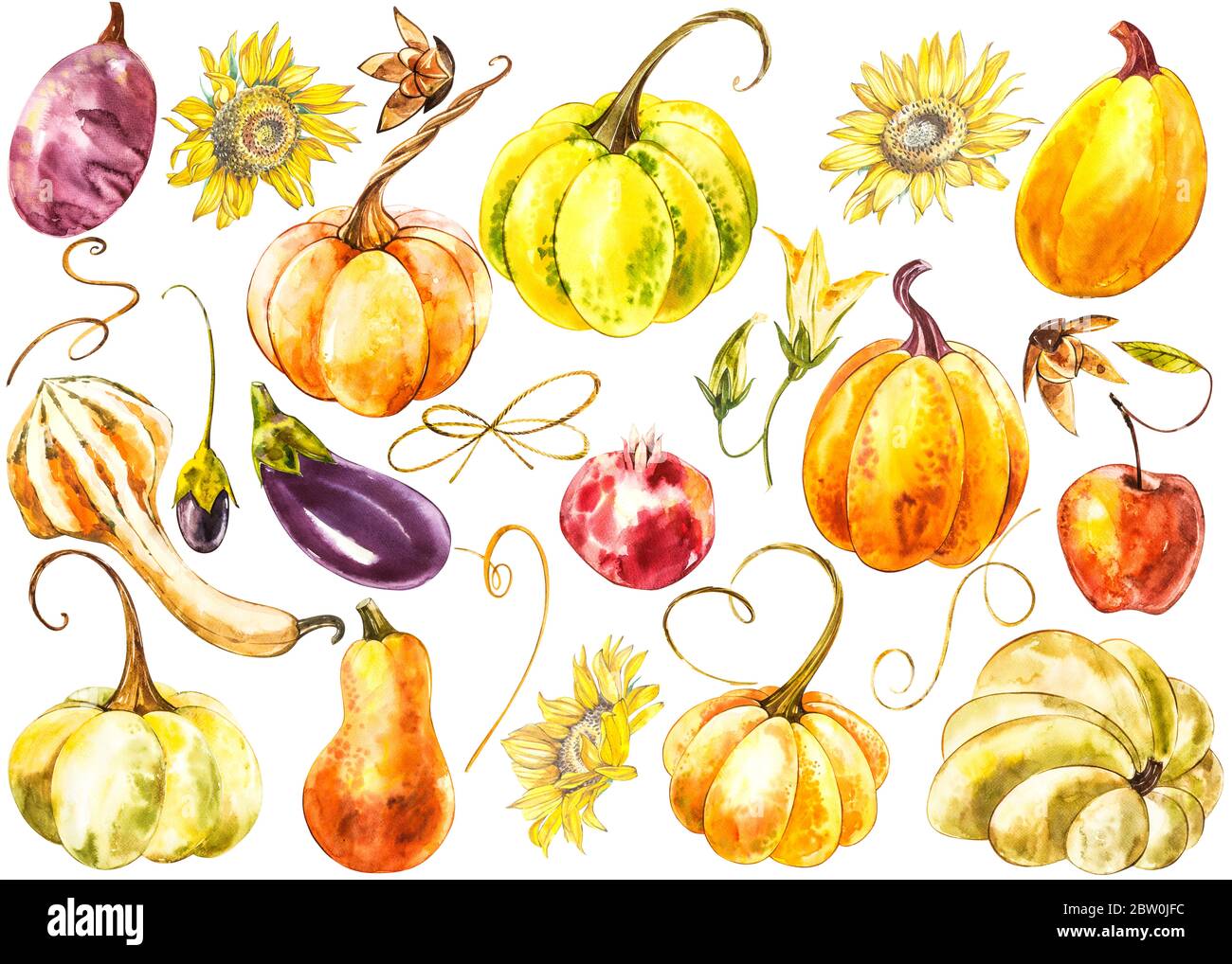Big set of Pumpkins. Hand drawn watercolor painting on white background ...