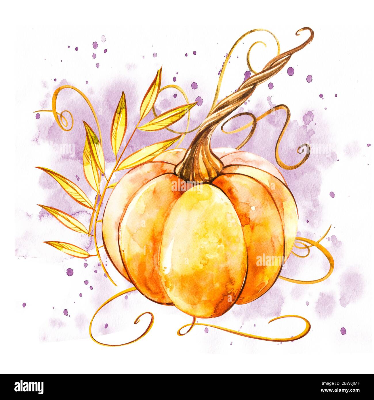 Pumpkin. Hand drawn watercolor painting on white background. Watercolor ...