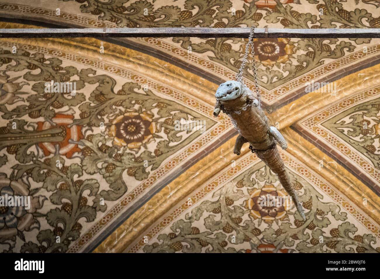 The crocodile hanging from the ceiling in the Sanctuary of Santa Maria delle Grazie, Curtatone, Province of Mantua, Italy. The stuffed animal is suppo Stock Photo