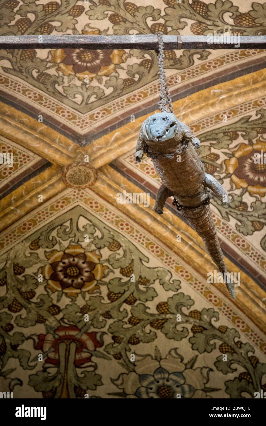 The crocodile hanging from the ceiling in the Sanctuary of Santa Maria delle Grazie, Curtatone, Province of Mantua, Italy. The stuffed animal is suppo Stock Photo