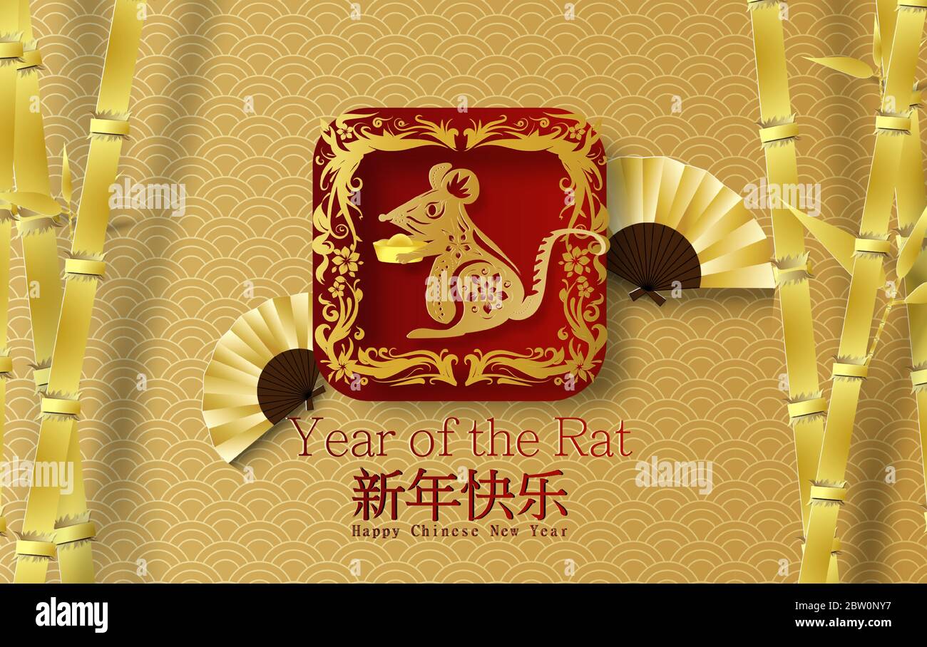 chinese-bamboo-rat-hi-res-stock-photography-and-images-alamy
