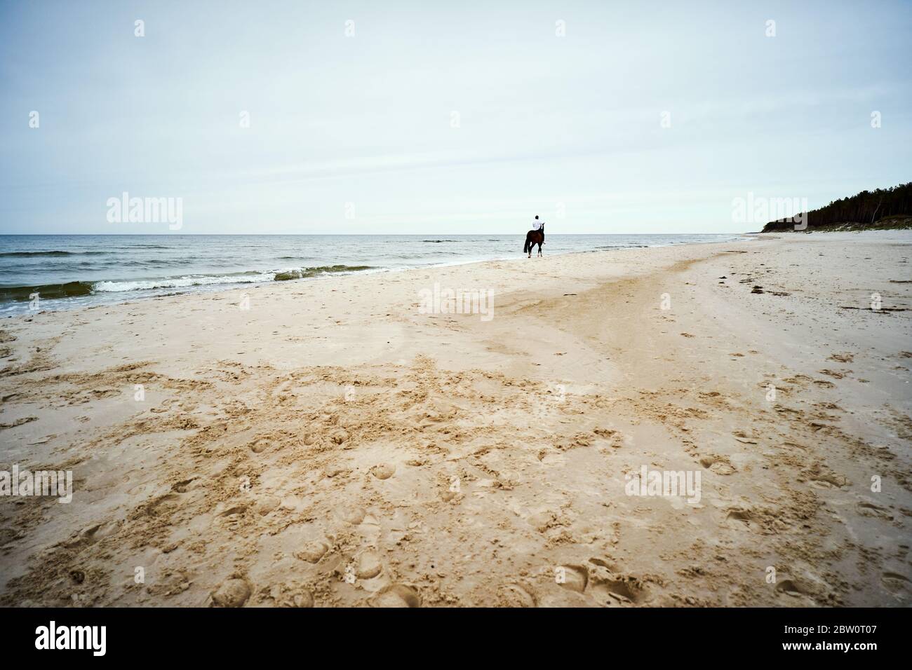 silhouette of a man riding a horse in the distance on the beach Stock ...