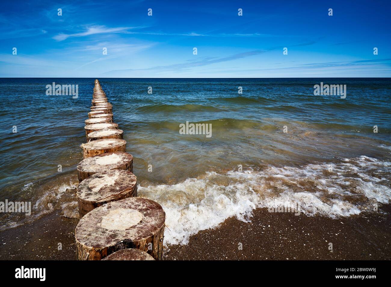 wooden piles overgrown with seaweed in the sea Stock Photo - Alamy