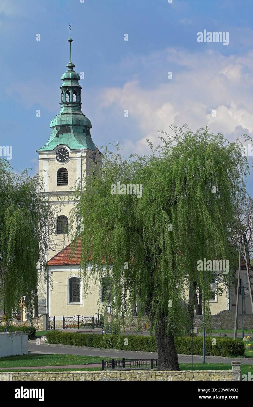 Kamień Śląski, Groß Stein, Salix babylonica, Poland, weeping willow and a baroque church tower. Polen, Trauerweide und ein barocker Kirchturm. Wieża Stock Photo