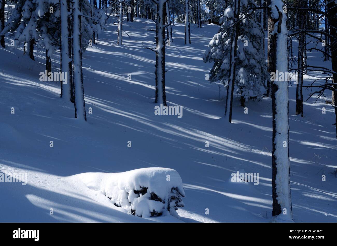 Winter scene, Colorado Stock Photo - Alamy