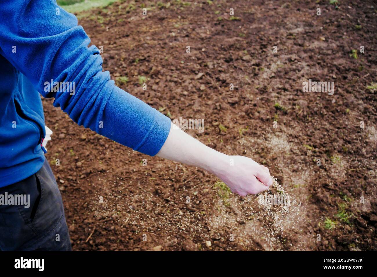 Spreading seed by hand hires stock photography and images Alamy