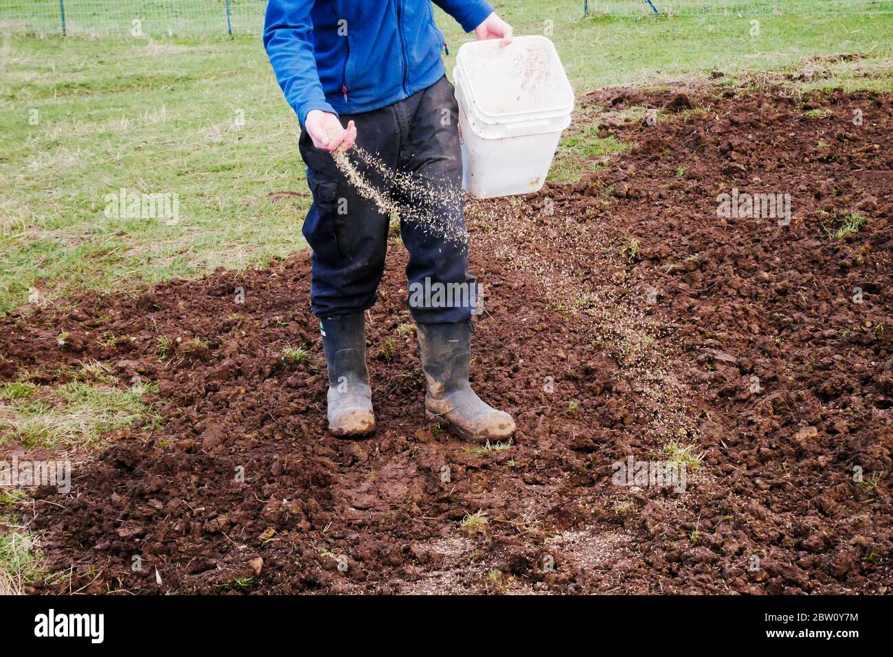 Clover Spread High Resolution Stock Photography and Images Alamy