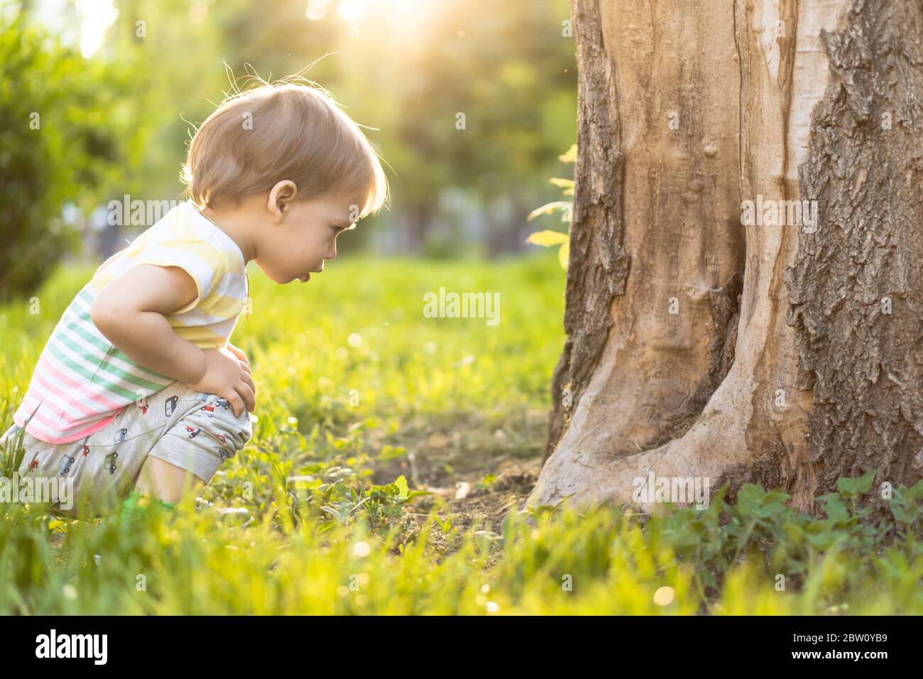 Childhood, nature, summer, parks and outdoors concept - portrait of cute blond-haired little boy in striped multi-colored T-shirt near trunk of an old Stock Photo