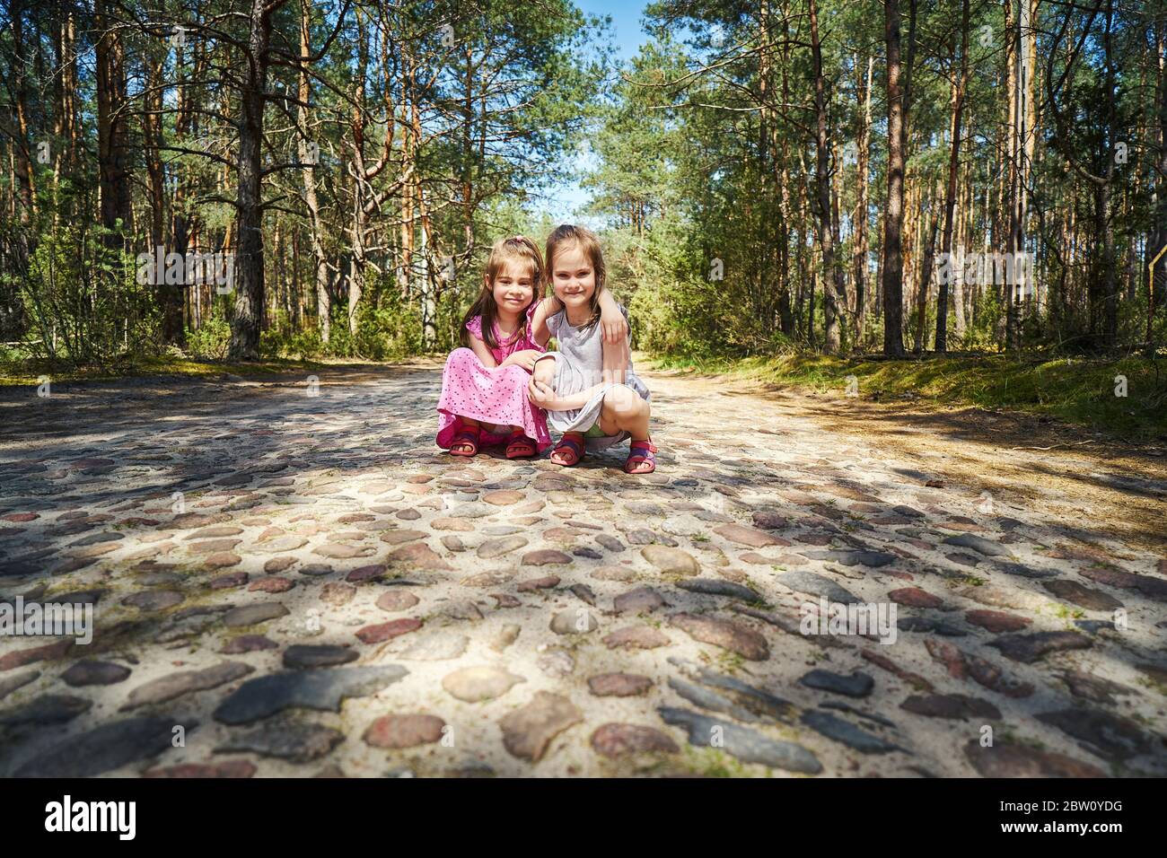 two beautiful little girls on the road in a pine forest Stock Photo