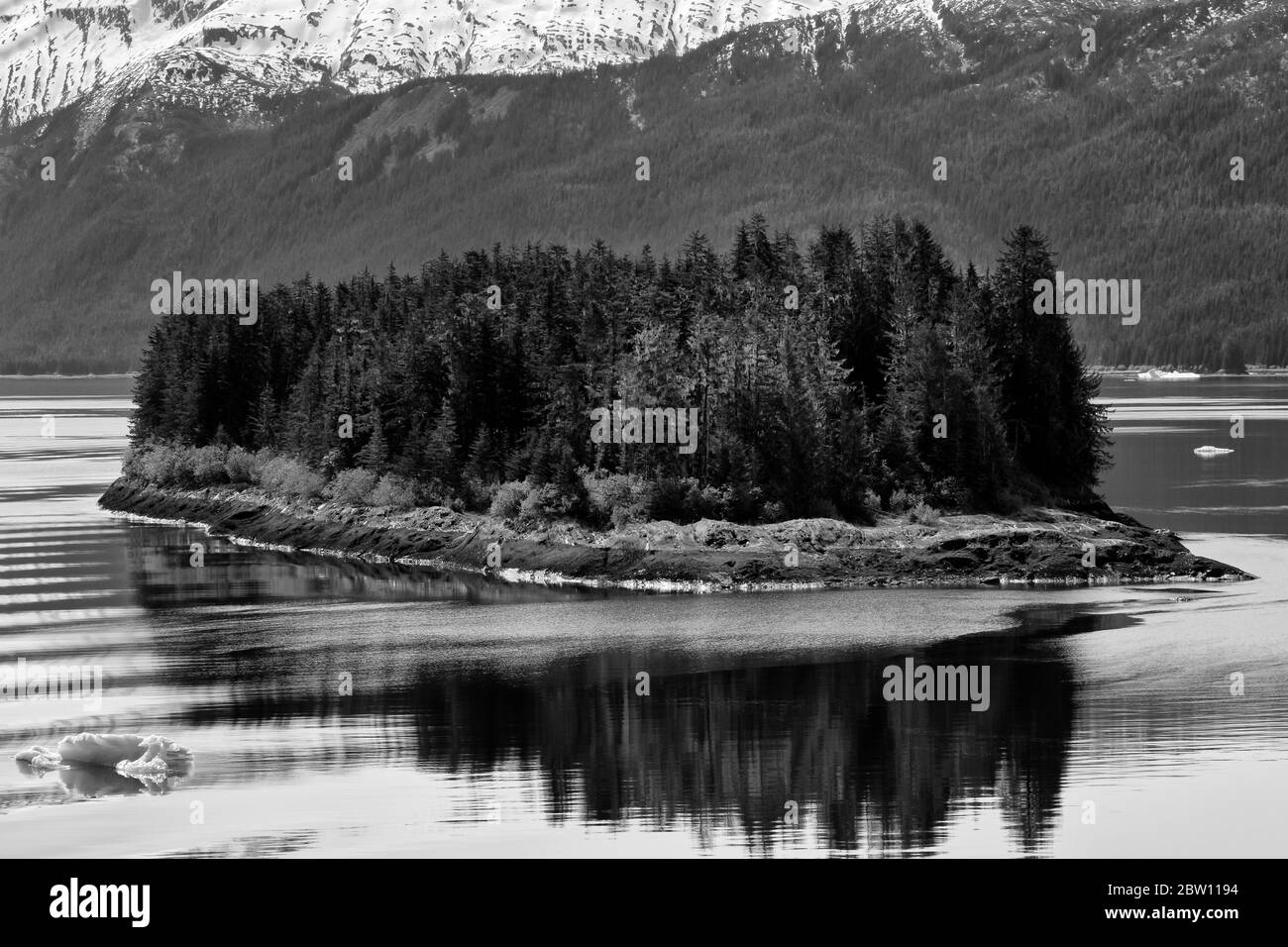 Island in Endicott Arm, Holkham Bay, Juneau, Alaska, USA Stock Photo
