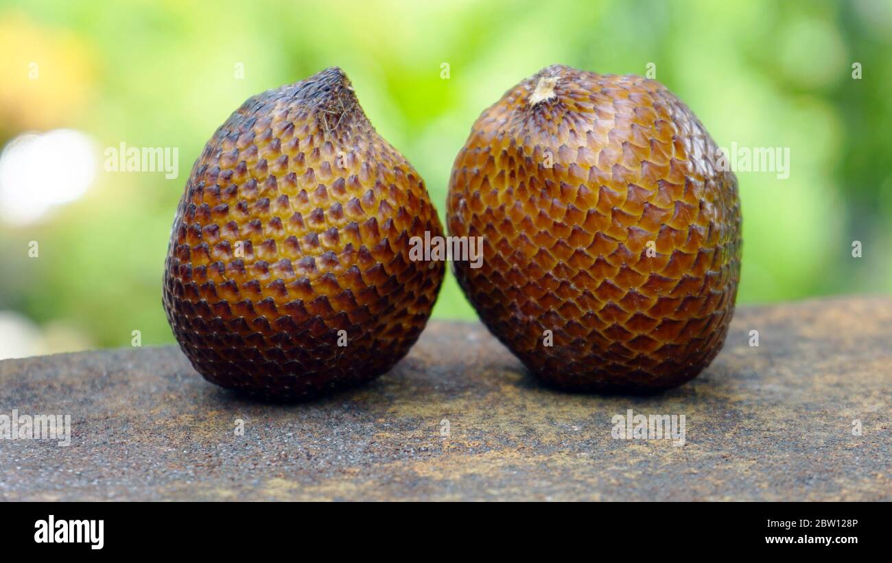 Close up the snake fruit on the table Stock Photo