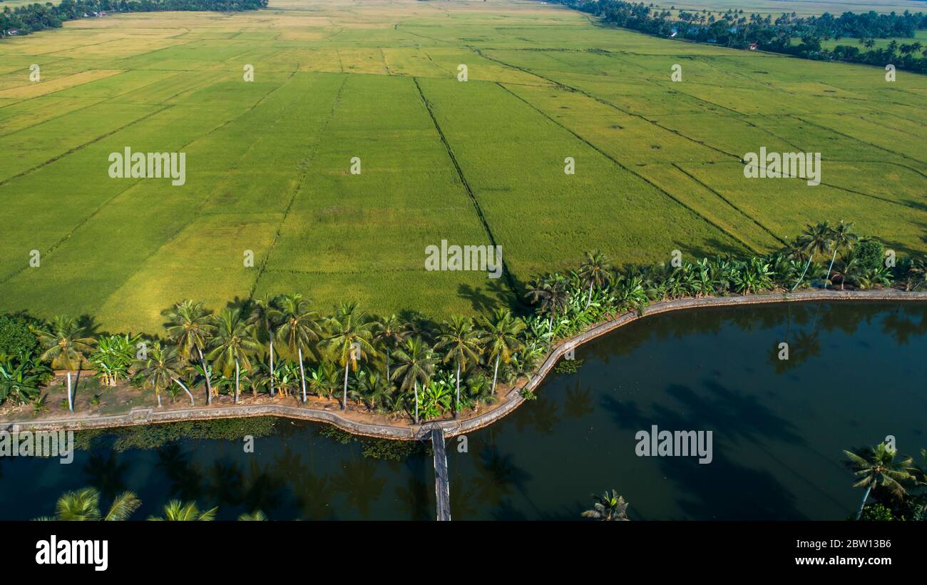 Kuttanad backwaters hi-res stock photography and images - Alamy