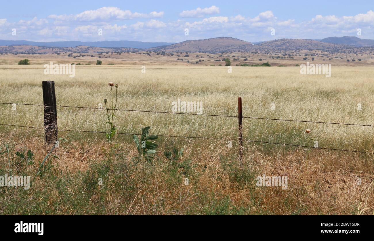Vast fields of grazing pasture, with the Sierra Nevada Mountains in the distance, framed by fencing Stock Photo