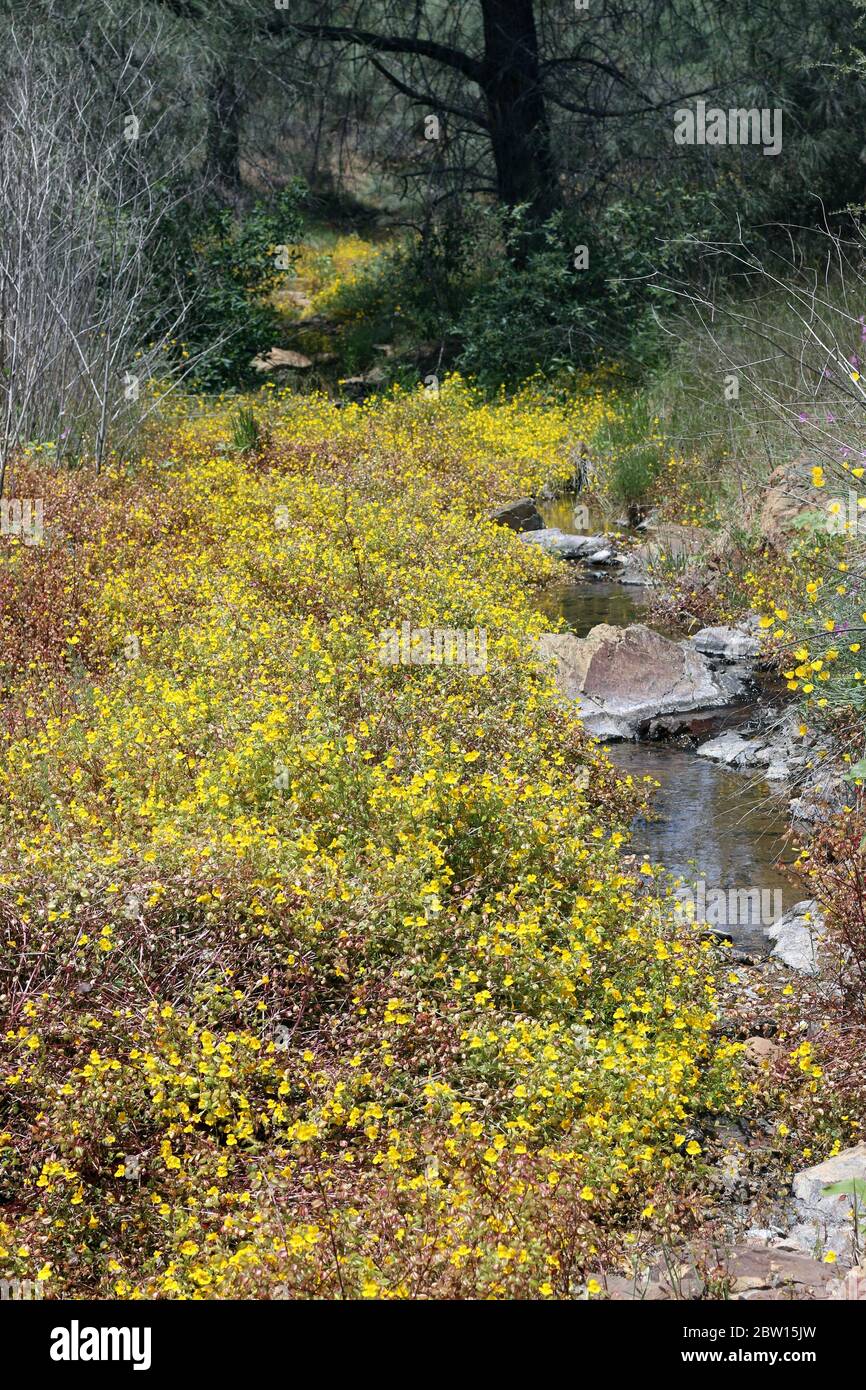 Northern california river hires stock photography and images Alamy