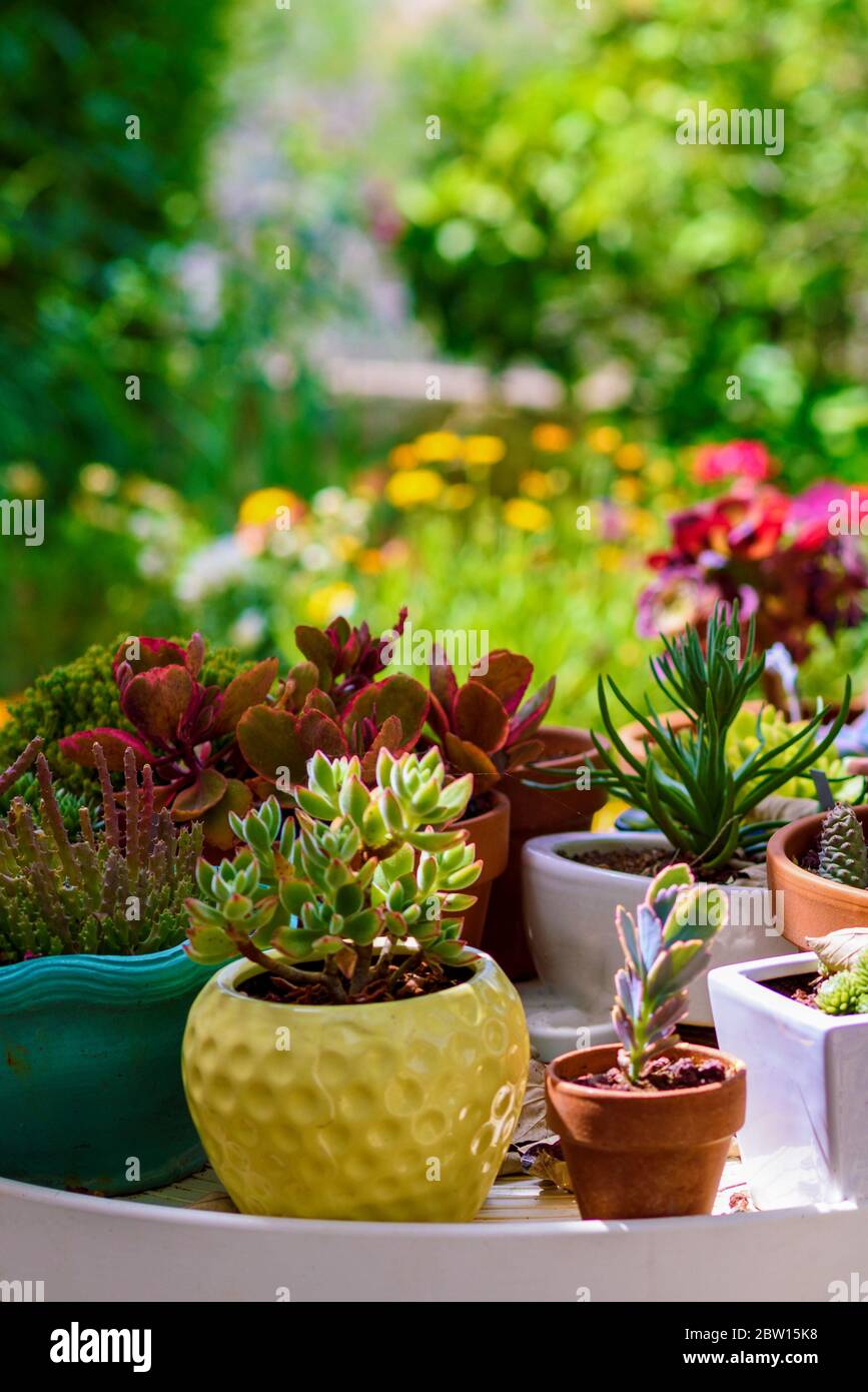 plant pots indoor Oaxaca Terracotta Planters – Clay Imports main image 0