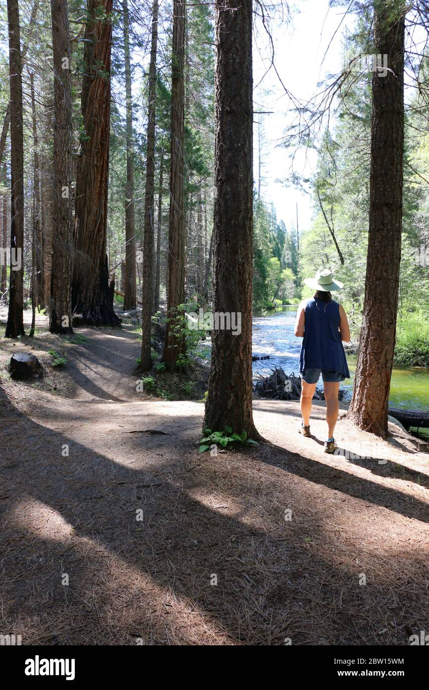 Mature woman forest walk hi-res stock photography and images - Alamy