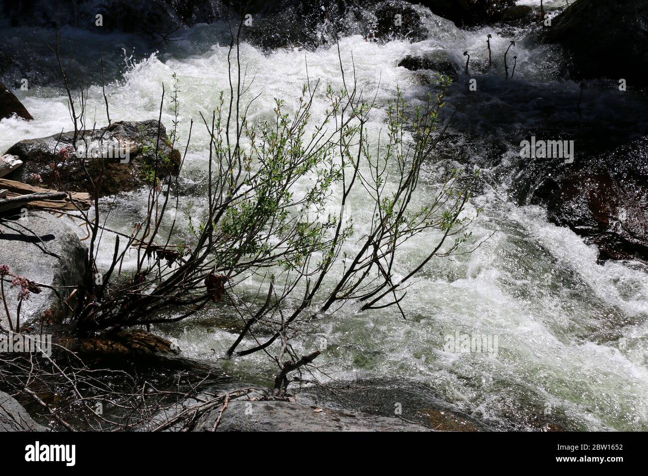 Rushing spring water hi-res stock photography and images - Alamy