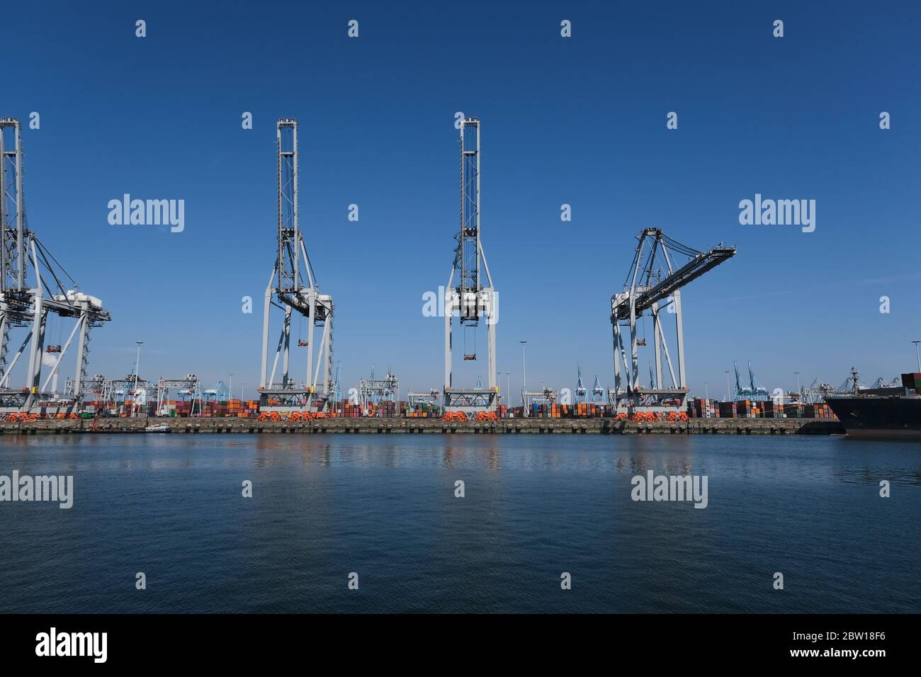 Huge cranes and ships anchored at harbor. International commercial port, city of Rotterdam background. Logistics business Stock Photo