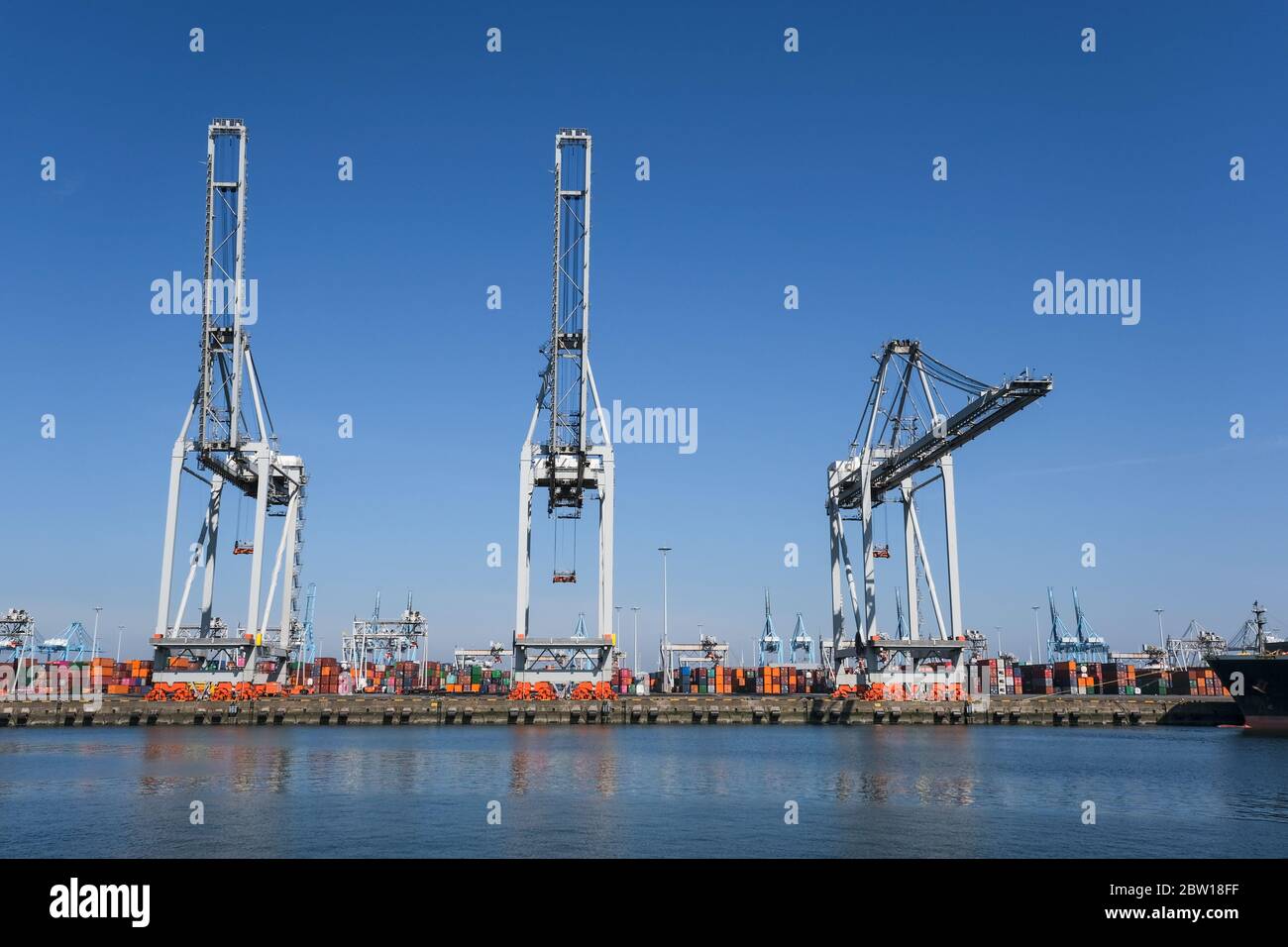 Huge cranes and ships anchored at harbor. International commercial port, city of Rotterdam background. Logistics business Stock Photo