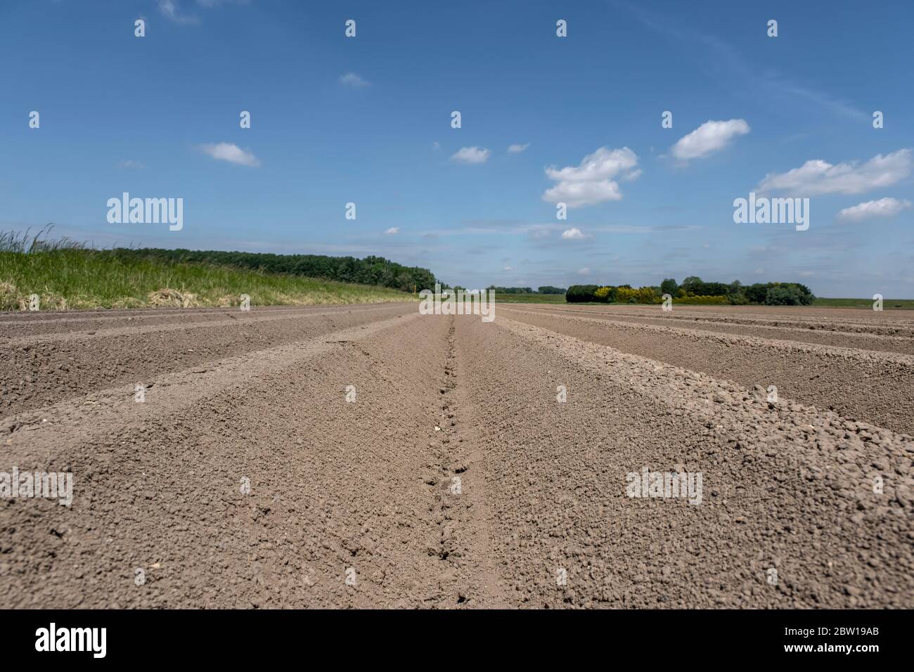 Farming Before Spring Agriculture. Pre seeding activities in early spring season of ...
