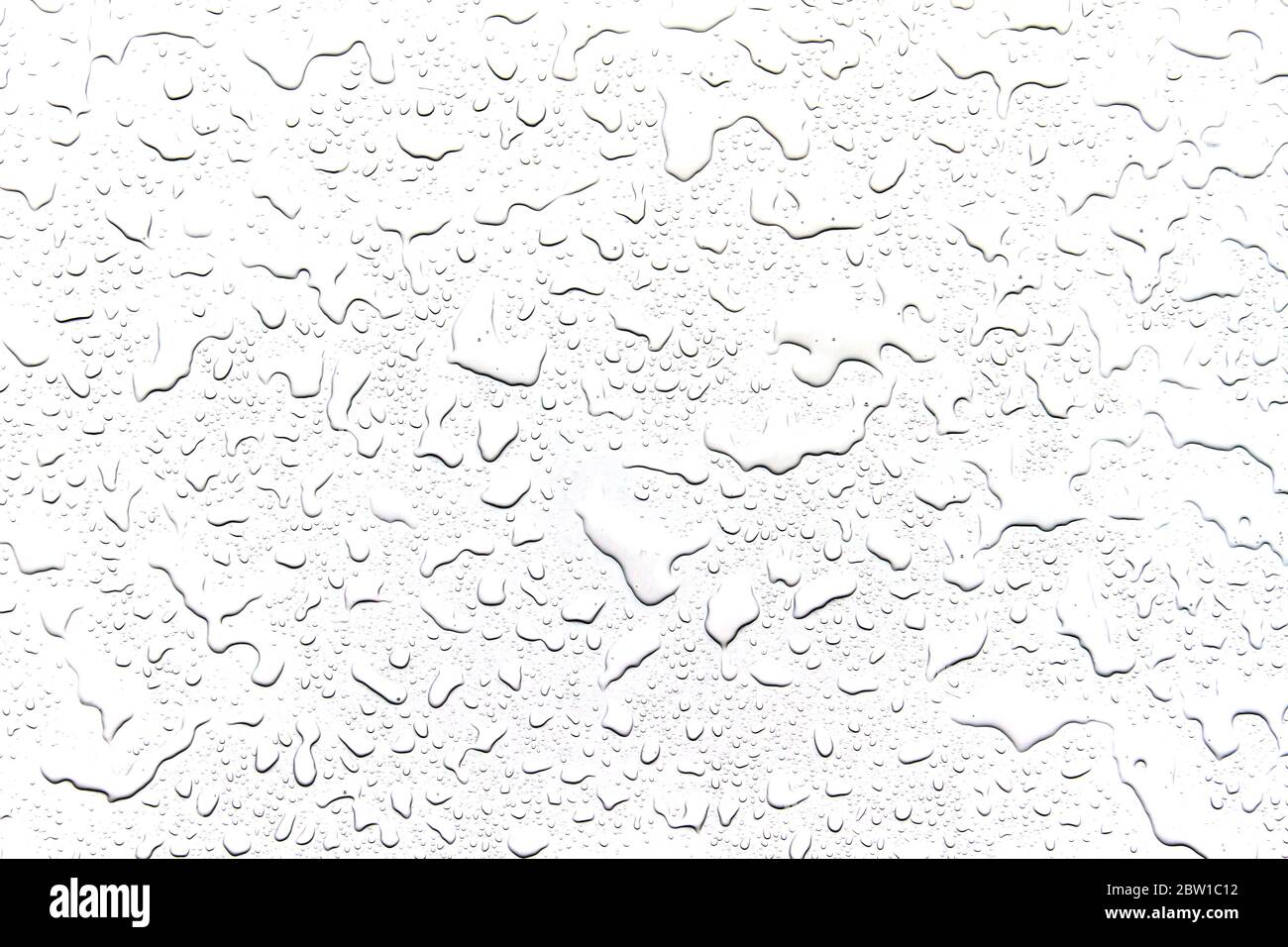 The concept of water drops on a white background Stock Photo - Alamy