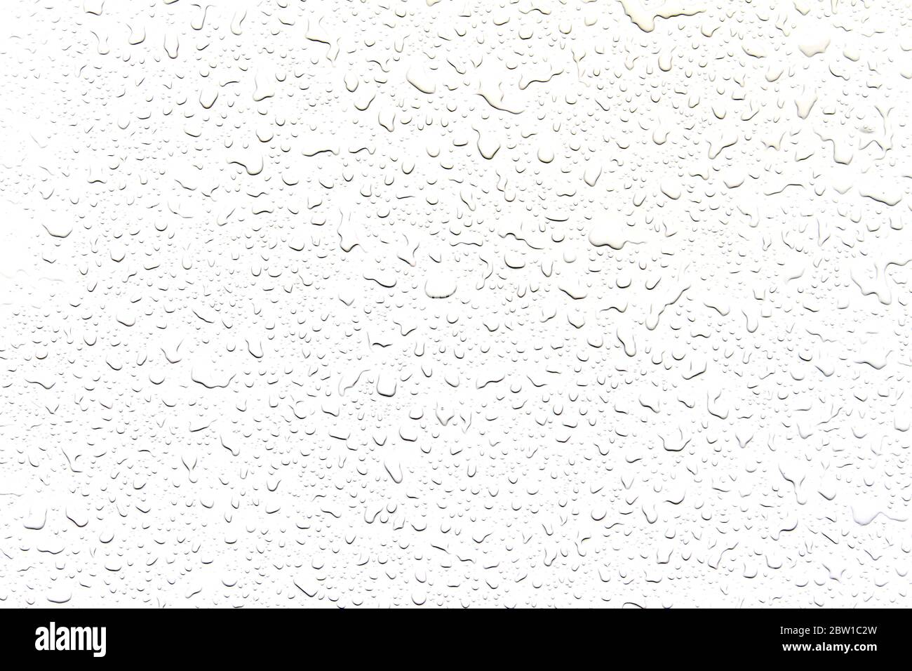 The concept of water drops on a white background Stock Photo - Alamy