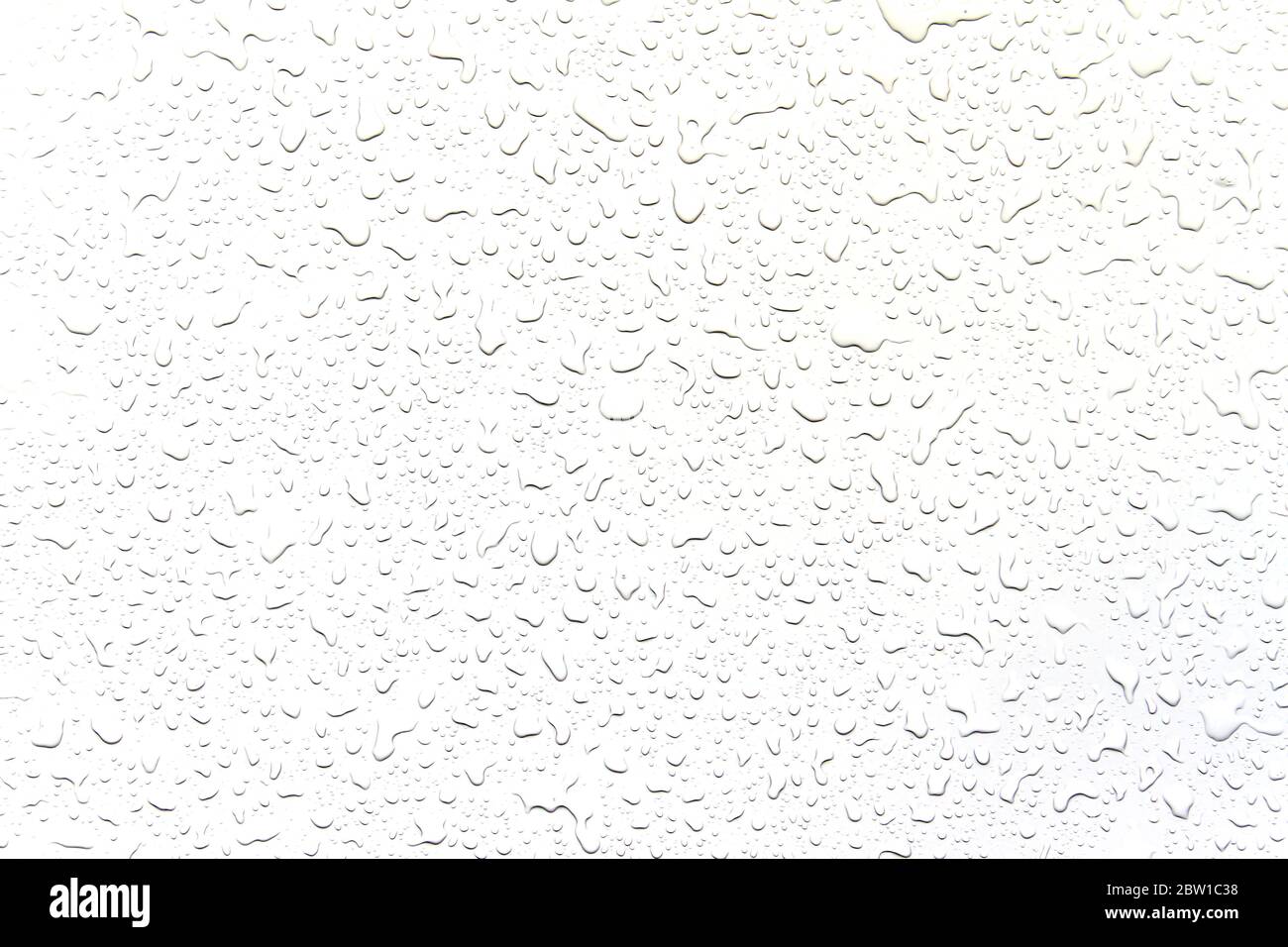 The concept of water drops on a white background Stock Photo - Alamy