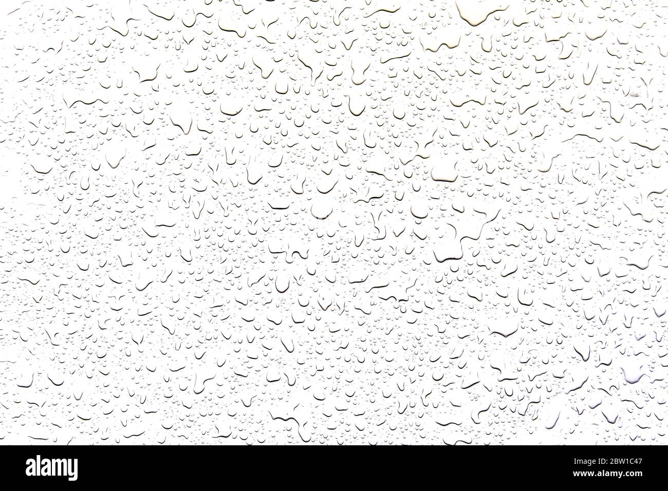 The concept of water drops on a white background Stock Photo - Alamy