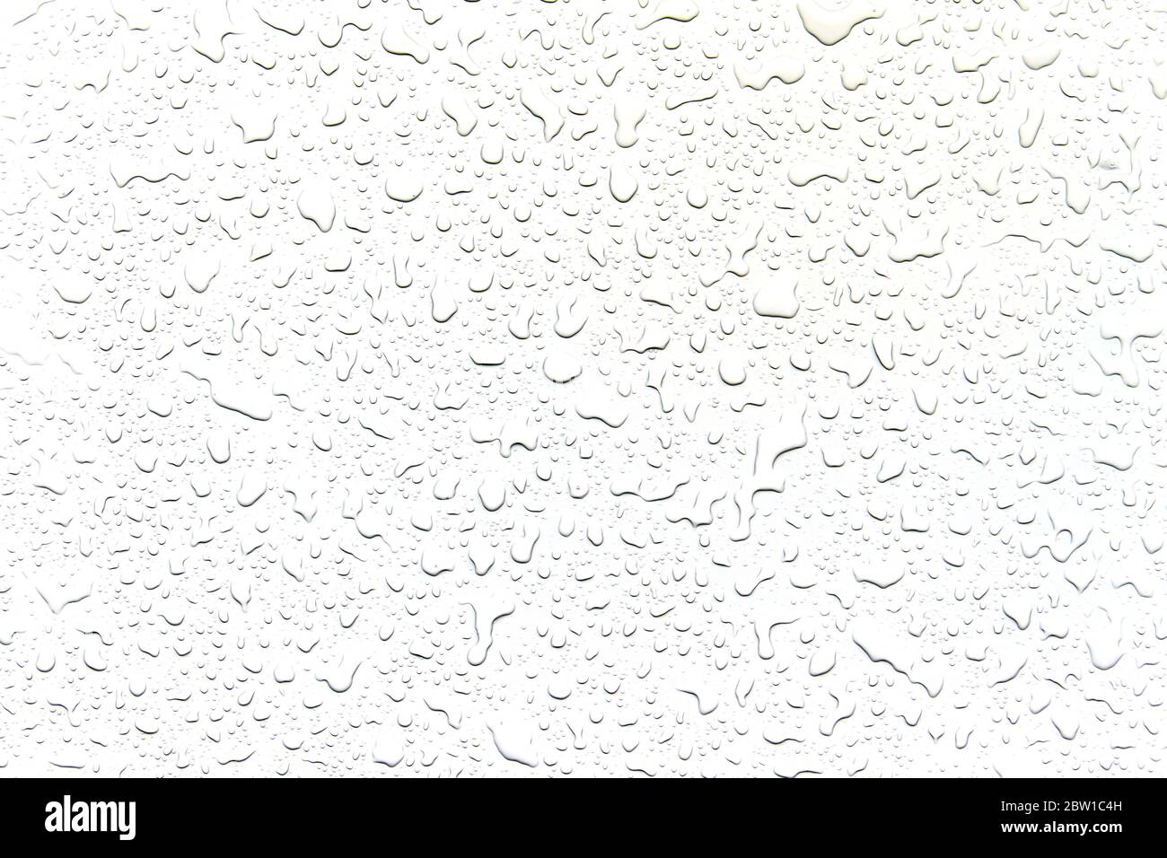 The concept of water drops on a white background Stock Photo - Alamy