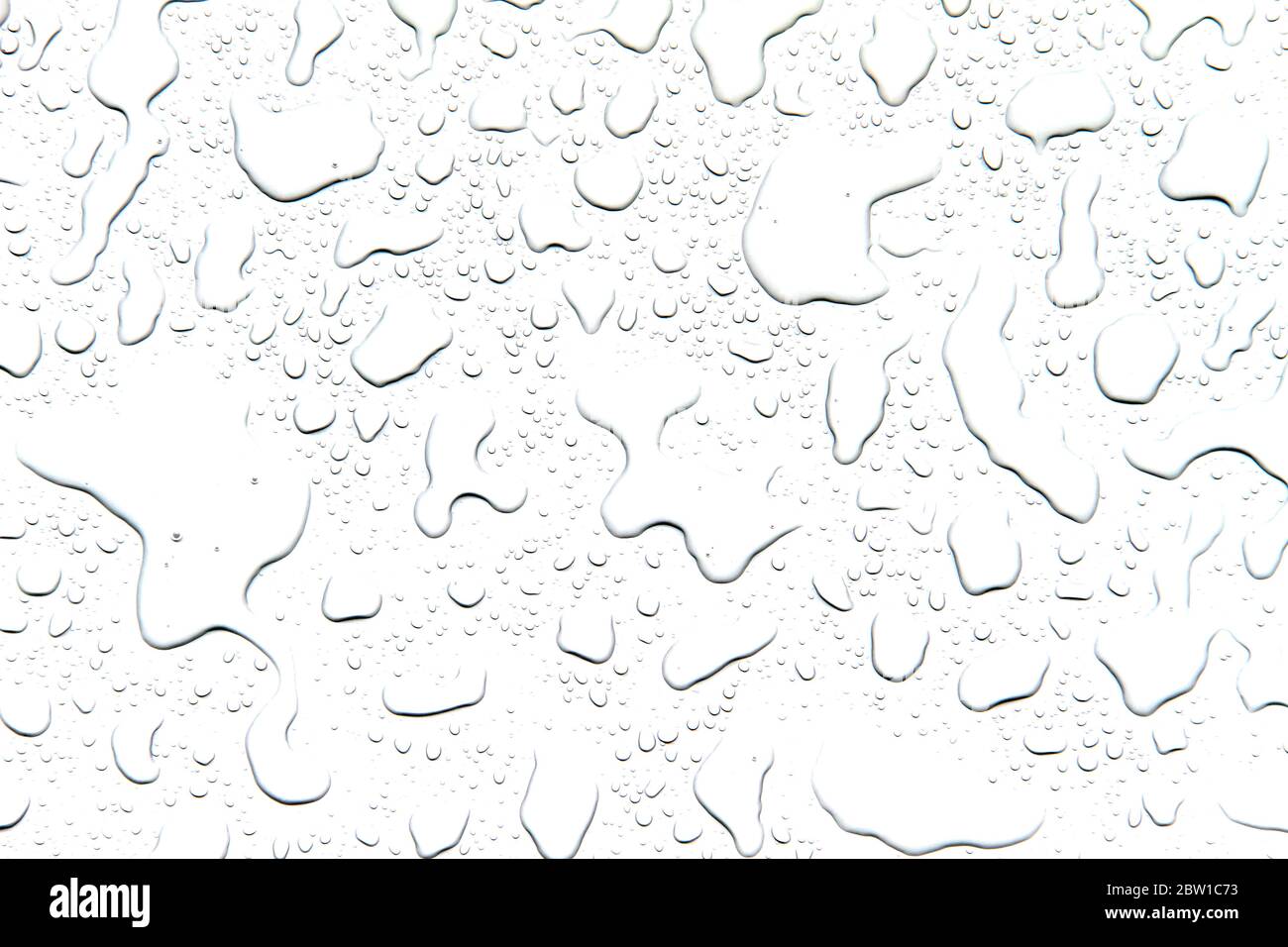 The concept of water drops on a white background Stock Photo