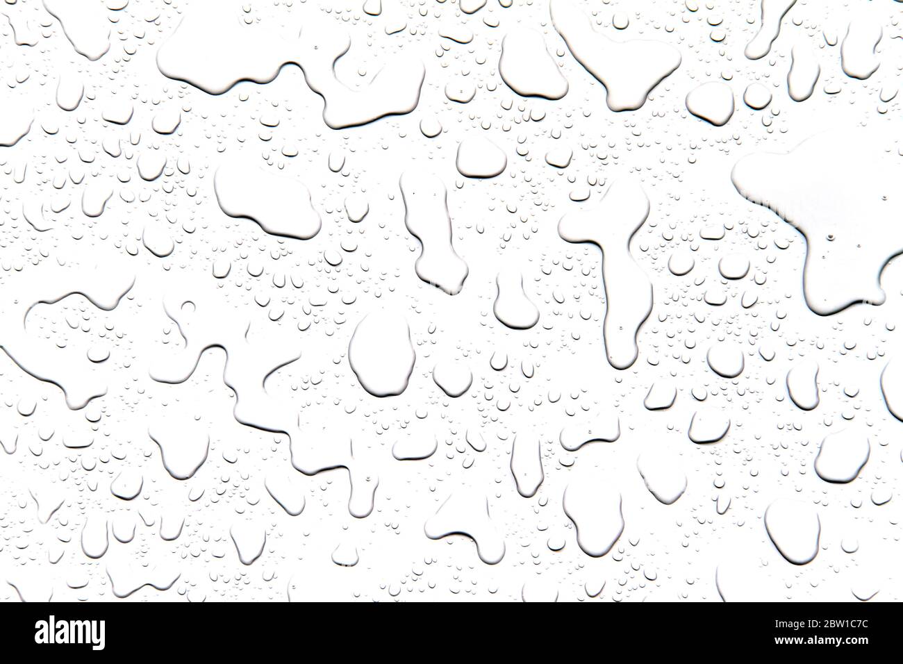 The concept of water drops on a white background Stock Photo