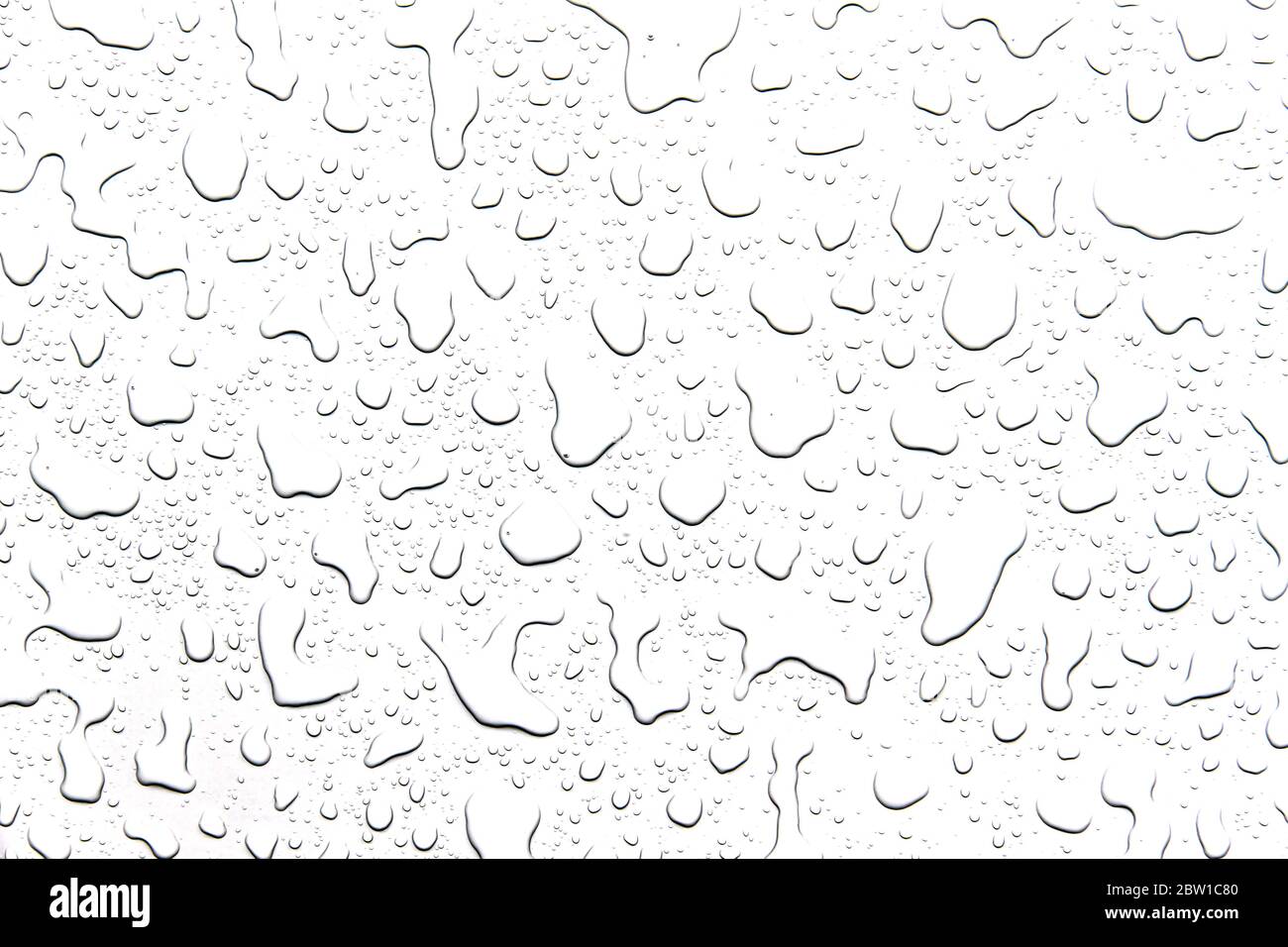 The concept of water drops on a white background Stock Photo - Alamy