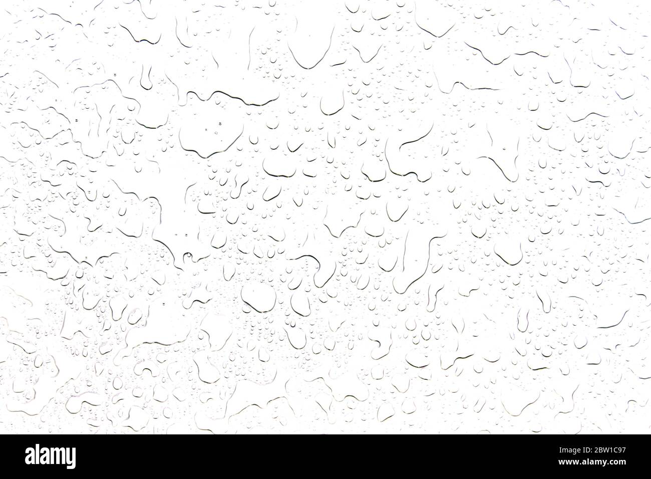 The concept of water drops on a white background Stock Photo - Alamy