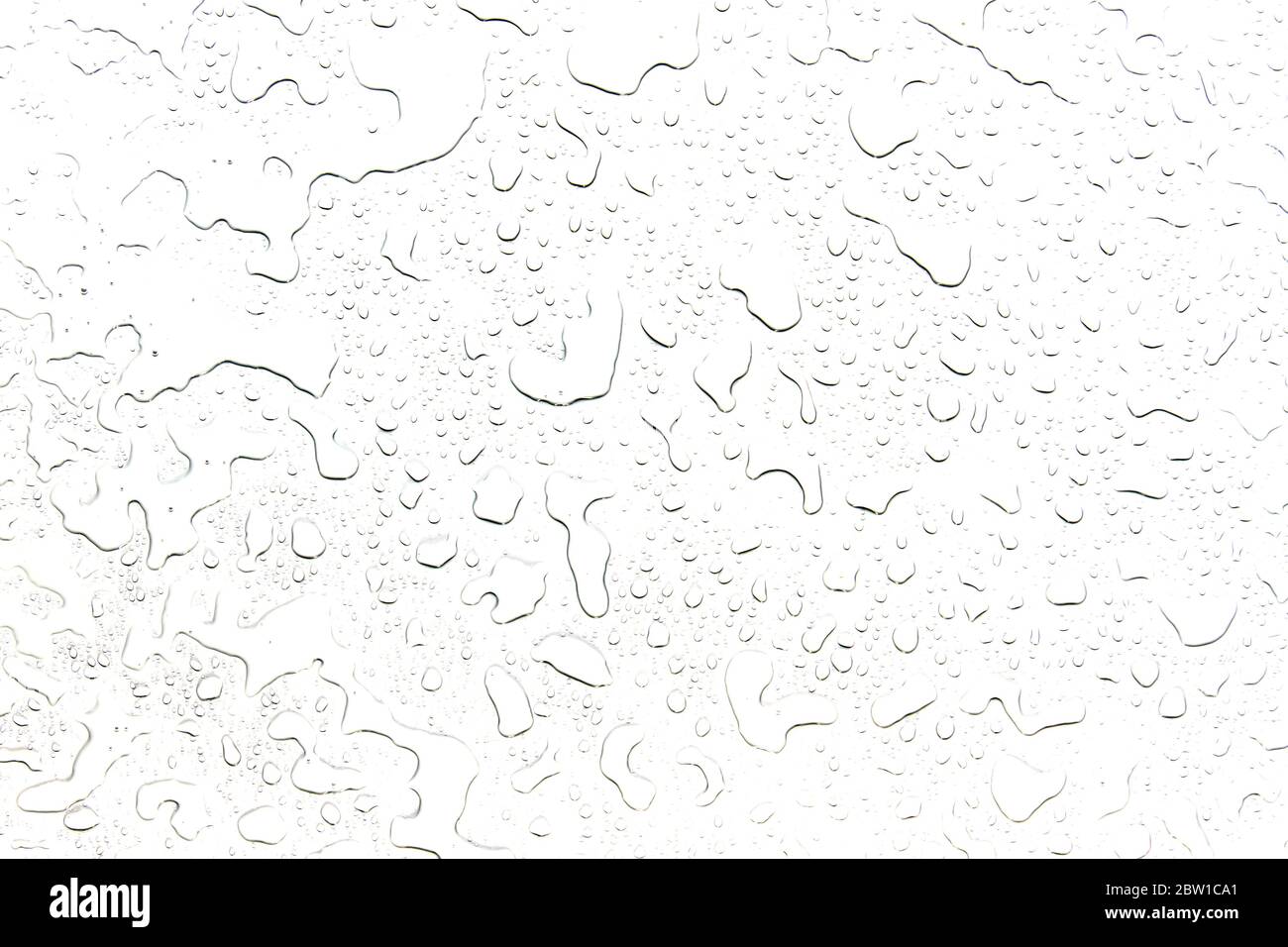 The concept of water drops on a white background Stock Photo - Alamy