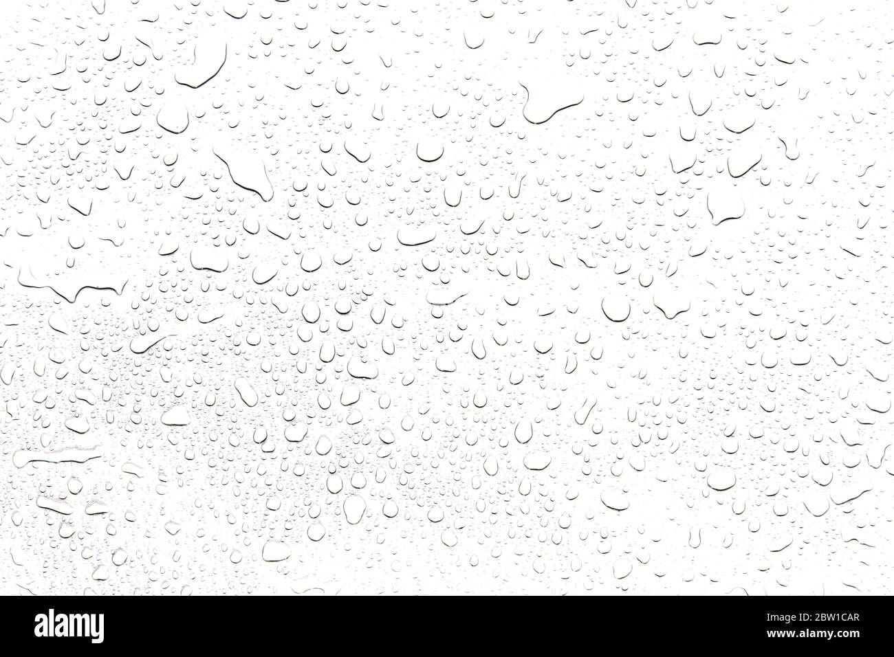 The concept of water drops on a white background Stock Photo - Alamy