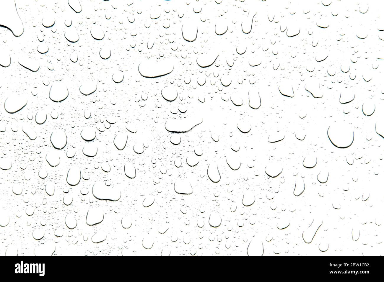 The concept of water drops on a white background Stock Photo - Alamy