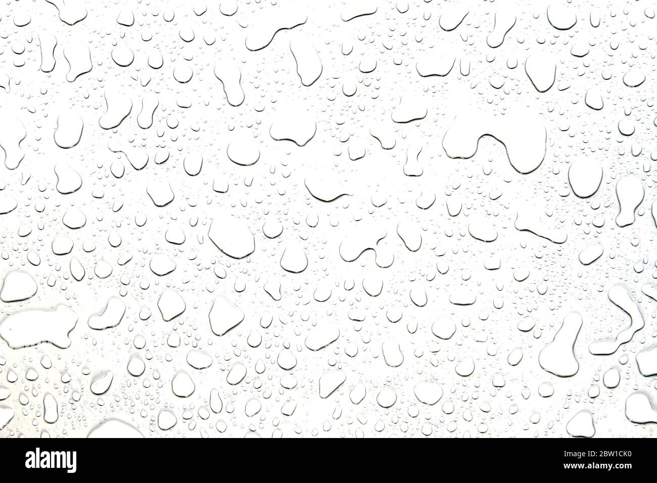 Rain drops falling on white hi-res stock photography and images - Alamy